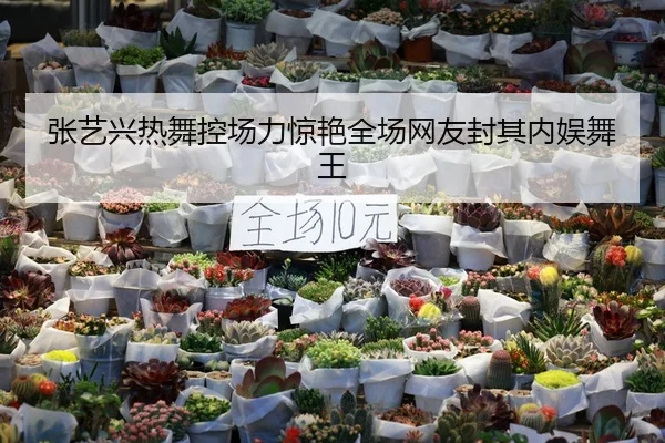 张艺兴热舞控场力惊艳全场网友封其内娱舞王